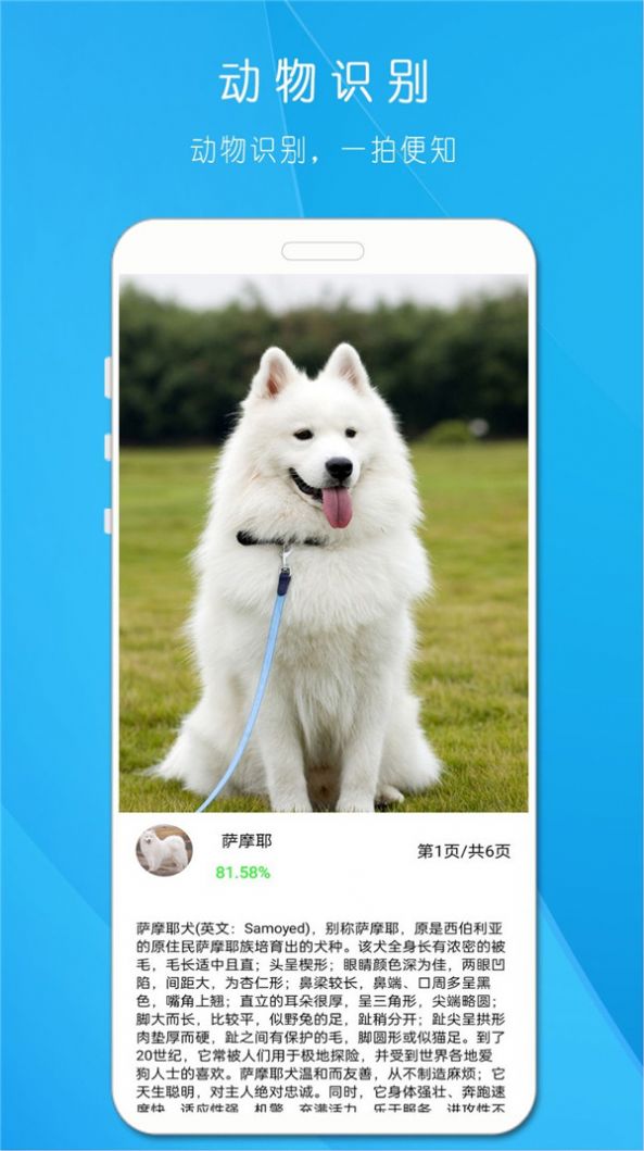 拍照識(shí)萬物