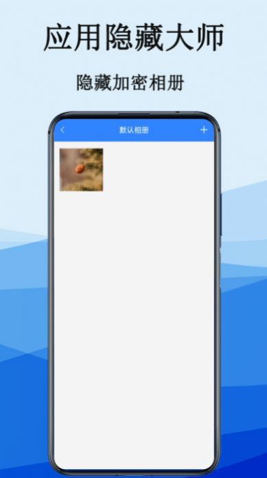 應用偽裝隱私計算器