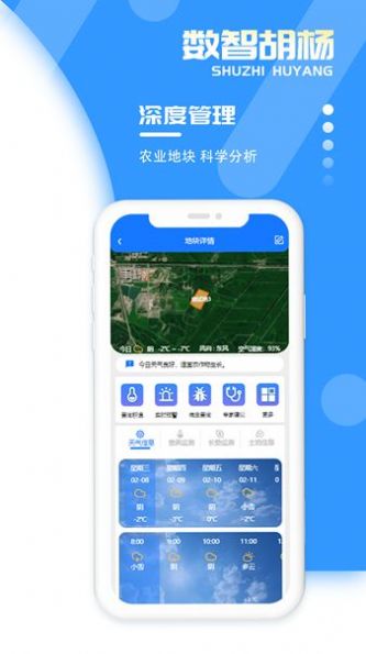 數(shù)智胡楊
