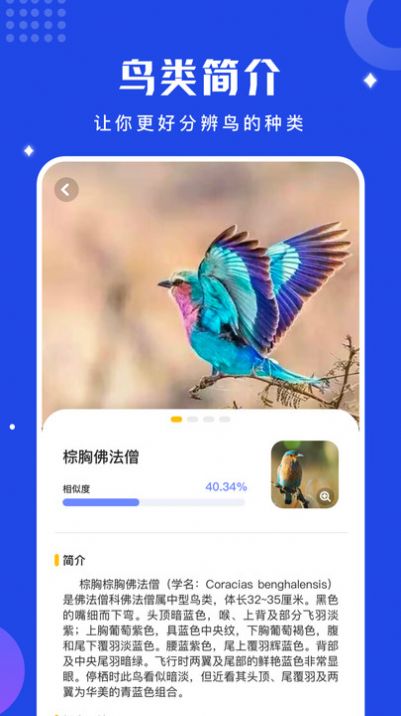 鳥(niǎo)語(yǔ)語(yǔ)言翻譯器