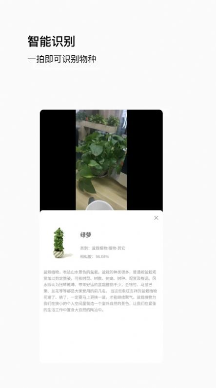 唞蝸