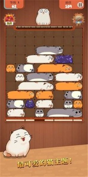 貓類拼圖
