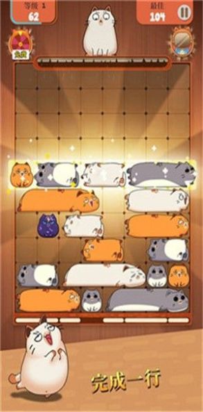 貓類拼圖