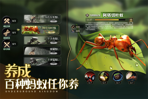 小小蟻國（九游版）