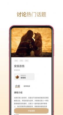 每日觀照
