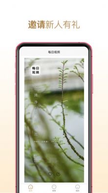 每日觀照