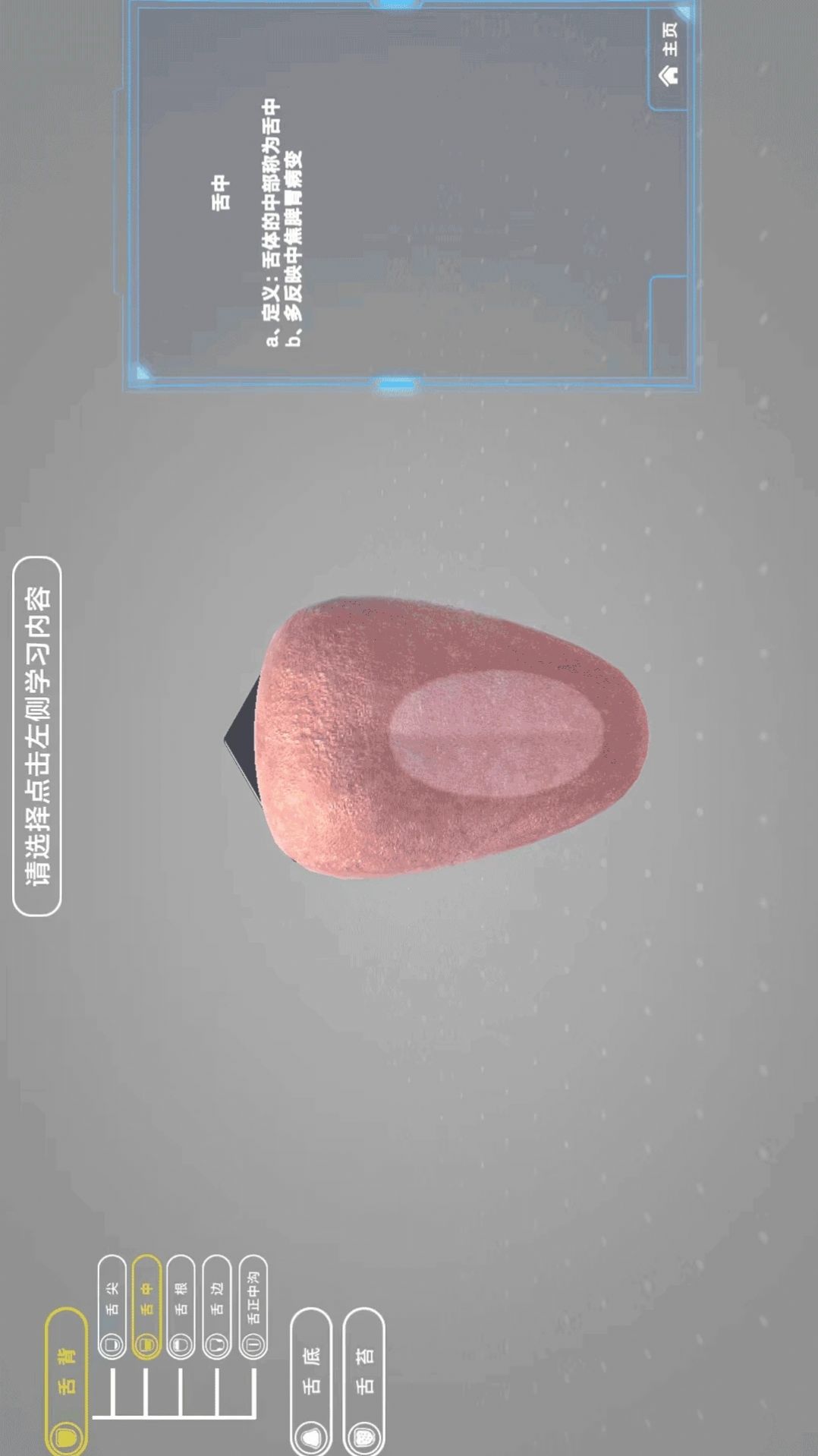 舌診技能實訓(xùn)