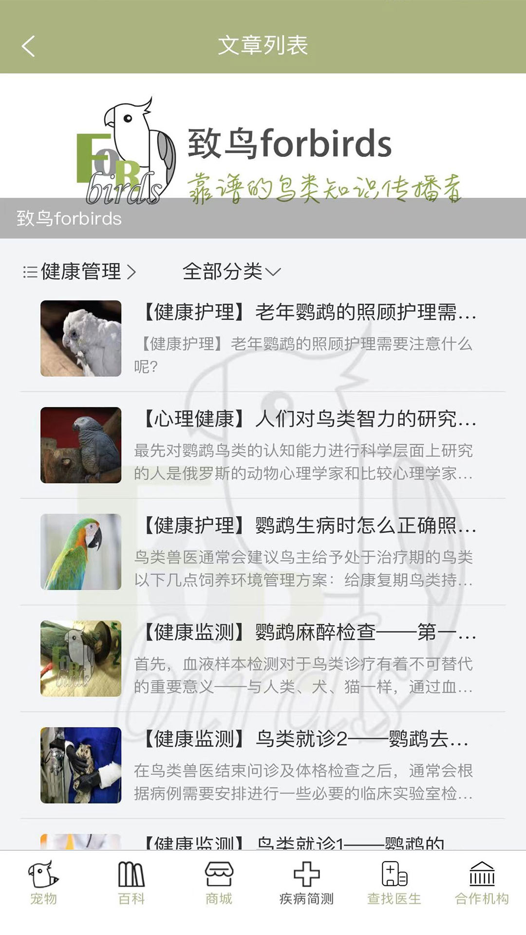 致鳥forbirds