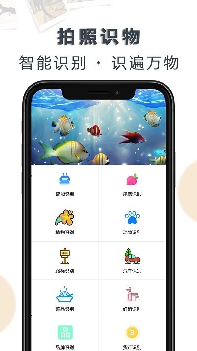 豆拍拍照識(shí)物