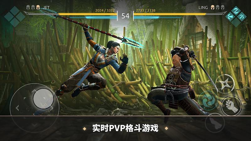 暗影格斗竞技场中文版(Arena)