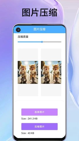 叮叮袋