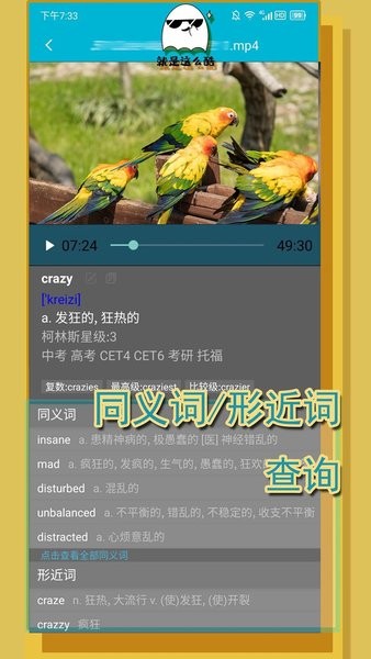 單詞播放器