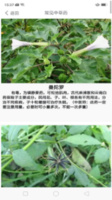 中藥養(yǎng)生記