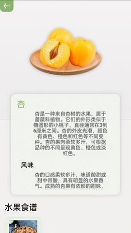 指尖果園