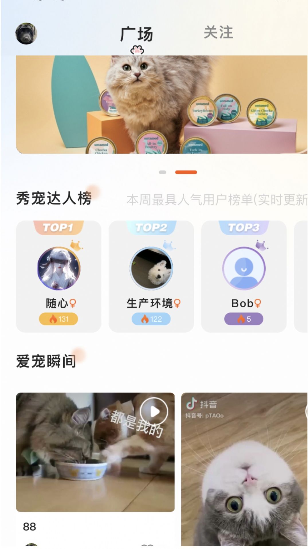 哆伽寵