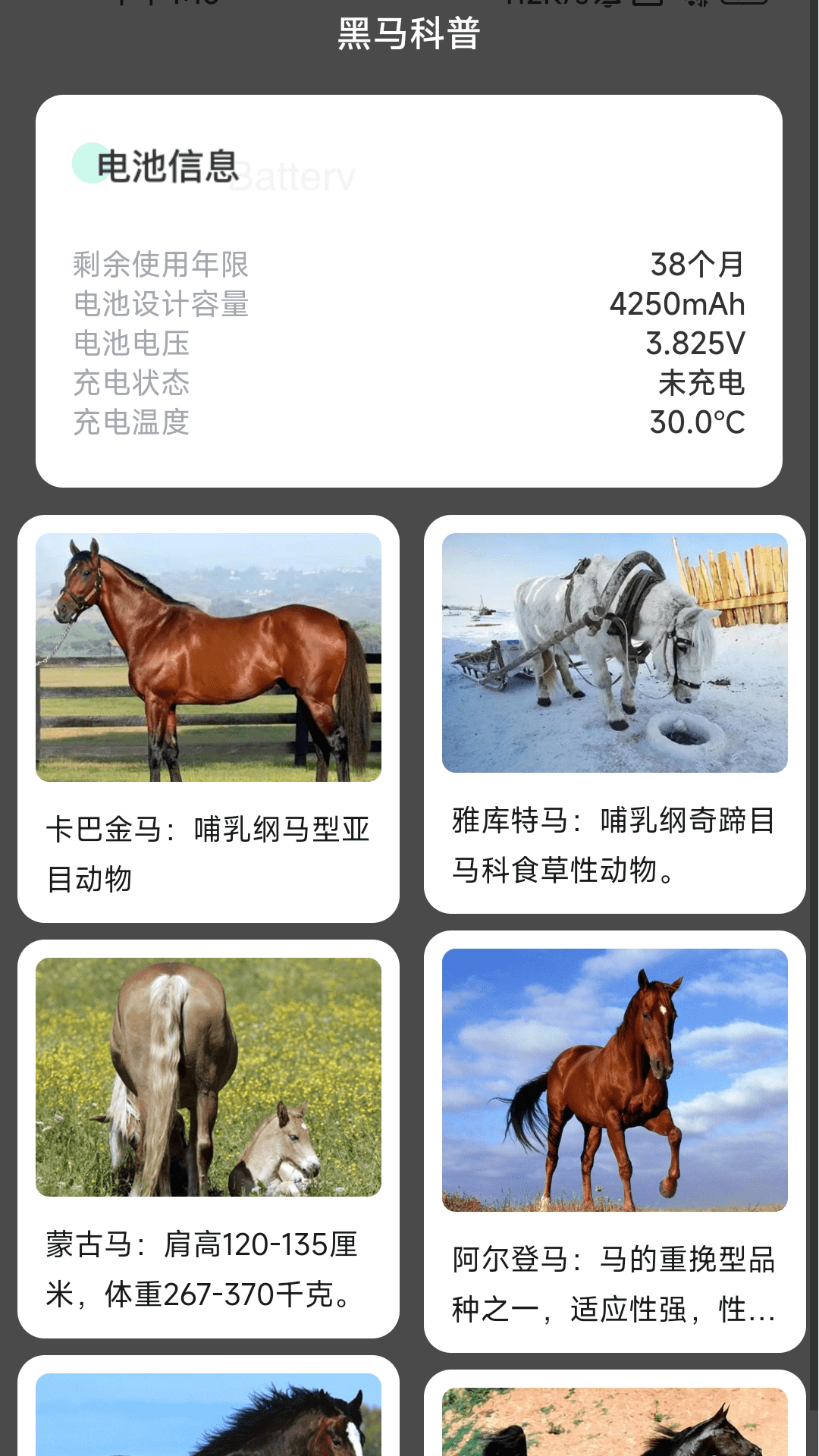 黑馬充電