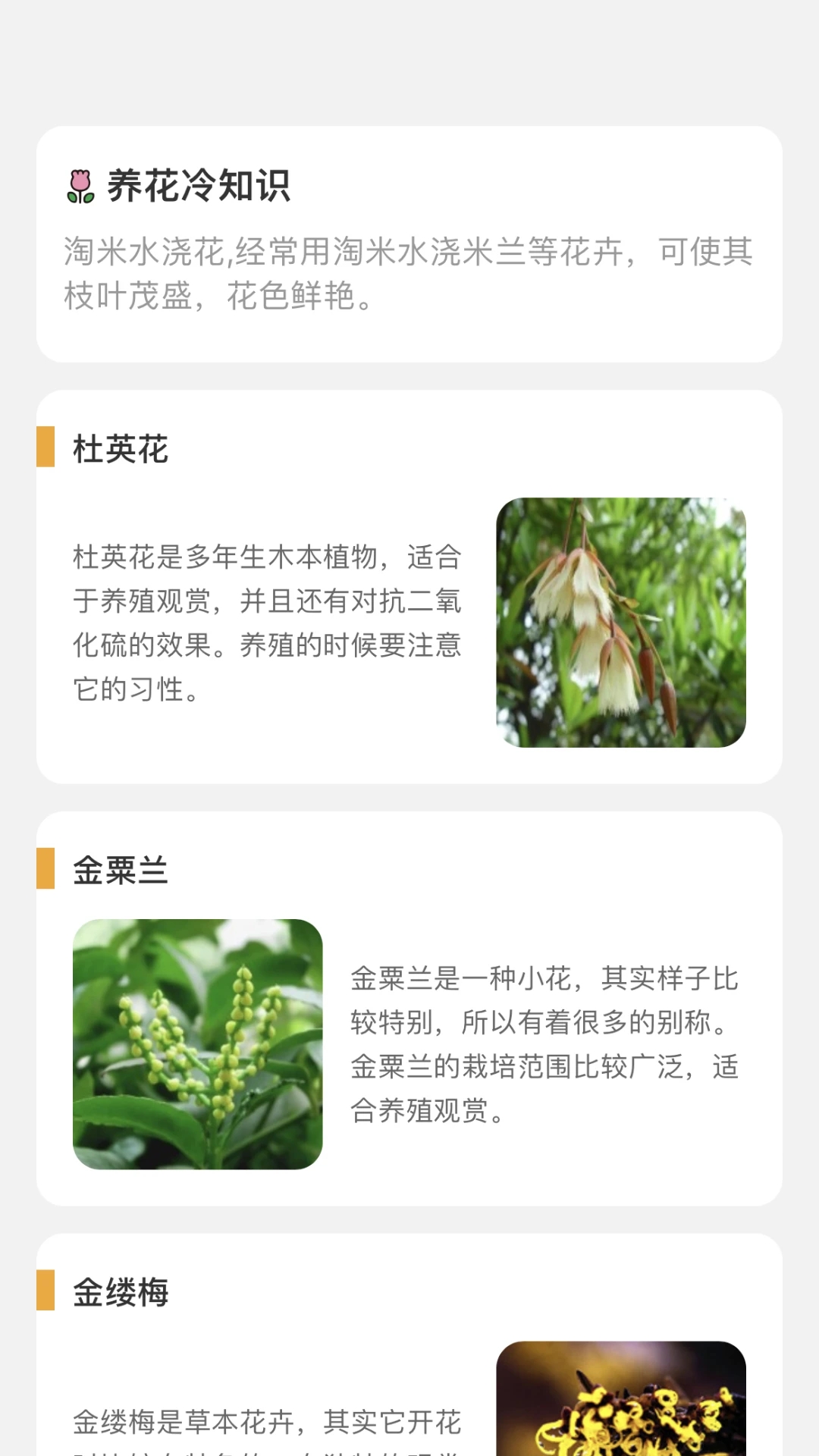 百花悅看