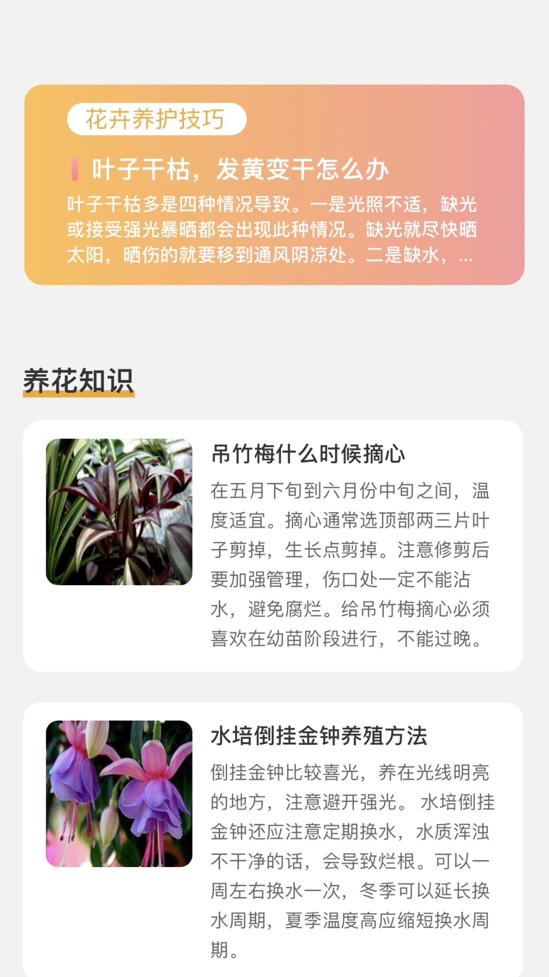 百花悅看