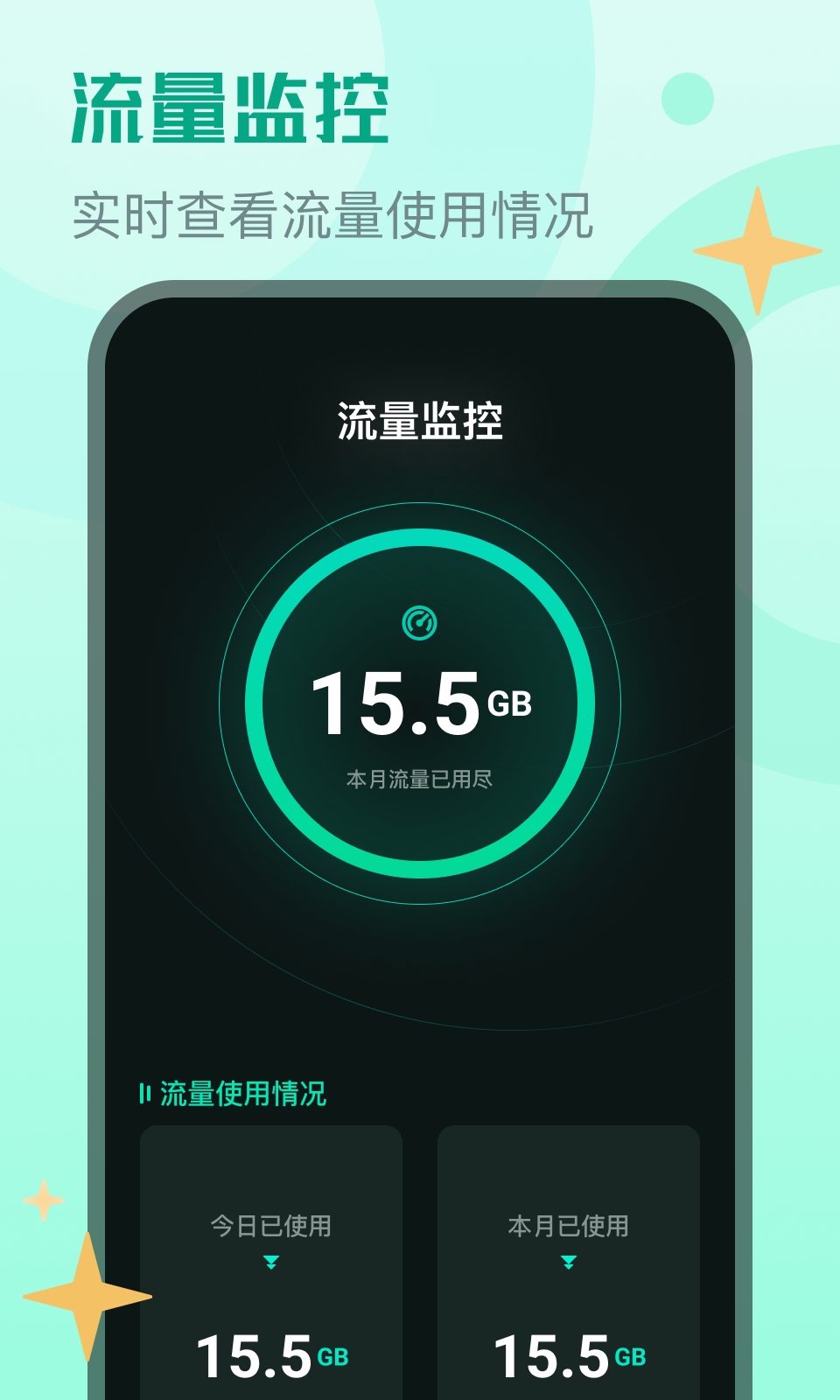 麻寶流量大師