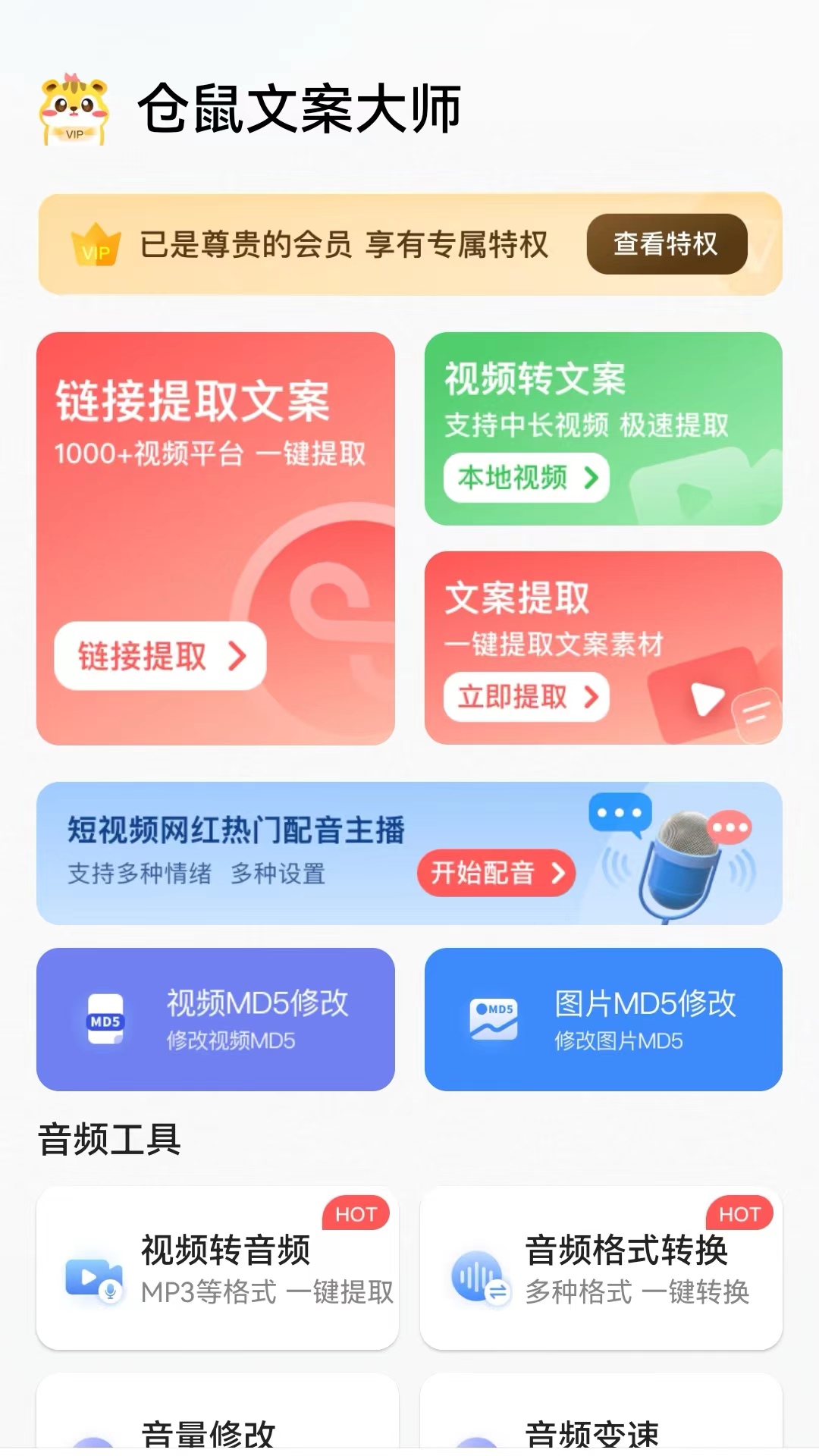 倉鼠文案大師